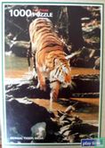 Bengal Tiger, India - Afbeelding 1