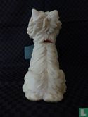 West Higland White Terrier - Afbeelding 3