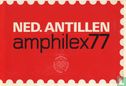 Amphilex ' 77  - Image 1