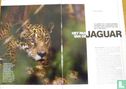 Het pad van de jaguar - Bild 1