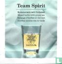 Team Spirit - Image 1