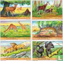 Animaux sauvages du Congo 1 - 12 - Image 2