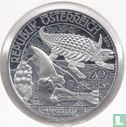 Autriche 20 euro 2014 (BE) "The geological periods - the Cretaceous" - Image 1