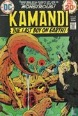 Kamandi, The Last Boy on Earth 21 - Image 1