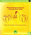 Form Plus Limonlu - Image 2