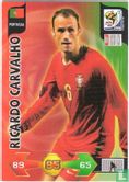 Ricardo Carvalho - Image 1