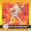 # 107 Hitmonchan - Image 1