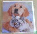 Kat en hond - Afbeelding 1