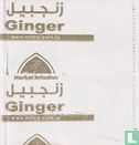 Ginger  - Image 2