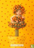 Kumquat tree - Image 1