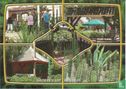 Cactus Oase pannekoekenboerderij "De Heikamp" - Bild 1