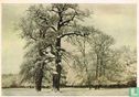 Winterlandschap - Image 1