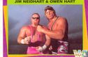 Jim Neidhart & Owen Hart - Afbeelding 1