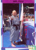 Mr. Fuji