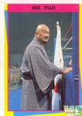 Mr. Fuji