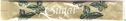 Sugar (vlinders)   - Bild 1