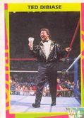 Ted Dibiase