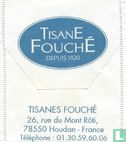 TisanE FouchÉ  - Image 2