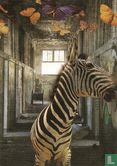 B120081 - SAKA / Week van de Amateurkunst 'Back to the zoo' - Image 1