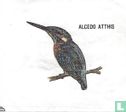 Alcedo Atthis - Afbeelding 1