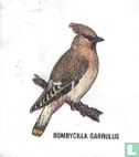 Bombycilla Garrulus - Afbeelding 1