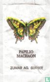 Papilio Machaon - Vanessa IO - Image 1
