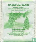 Tisane de Sapin - Image 1