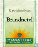 Brandnetel - Afbeelding 1