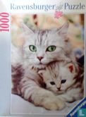 Moederpoes met kitten - Afbeelding 1