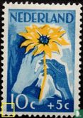 The Netherlands helps the Indies (PM2) - Image 1