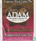 Raspberry Fields Tea   - Bild 1