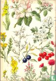 Flora in kleur - Image 2