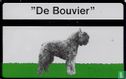 “De Bouvier” - Image 1