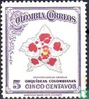Kolumbianische Orchideen - Bild 1