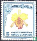 Colombian orchids - Image 1