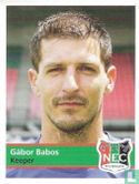 NEC: Gábor Babos - Image 1
