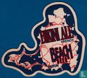 Arawak Beer - Bikini Ale - Beach Beer - Afbeelding 1