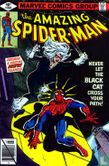 De spectaculaire Spider-Man 7 - Image 3
