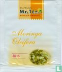 Moringa Oleifera - Image 1