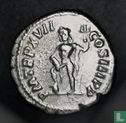 Romeinse Rijk, AR Denarius,193-211AD, Septimius Severus, Rome, 209 AD - Afbeelding 2