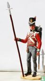 Le sergent britannique ligne bataillon compagnies 1812-15 - Image 1