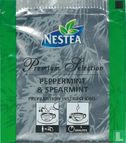 Peppermint & Spearmint