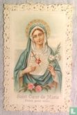 Saint coeur de Marie, priez pour nous - Afbeelding 1