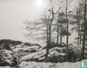 Forest, dune-landscape - Image 1