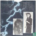 Satellites - Afbeelding 2