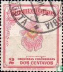  Orchidées colombiennes - Image 1