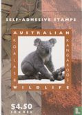 Australische dieren - Boekje met 2 Koala's  - Afbeelding 1