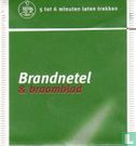 Brandnetel & braamblad - Afbeelding 2