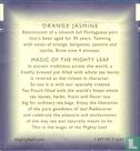 Orange Jasmine - Image 2