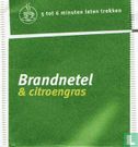 Brandnetel & citroengras - Afbeelding 2